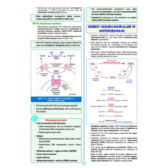 SPEETUS Kampı Biyokimya ( 3.Baskı ) SPEETUS Kampı Biyokimya ( 3.Baskı )