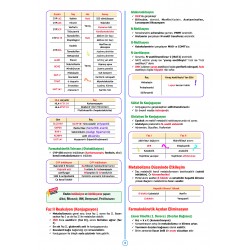 SPEETUS Kampı Farmakoloji ( 3.Baskı )