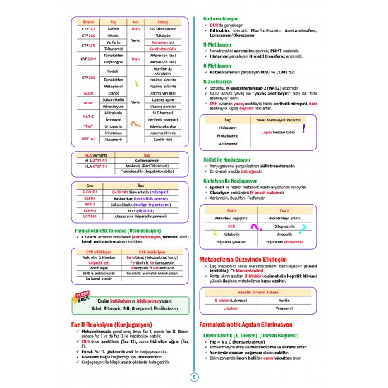 SPEETUS Kampı Farmakoloji ( 3.Baskı ) SPEETUS Kampı Farmakoloji ( 3.Baskı )
