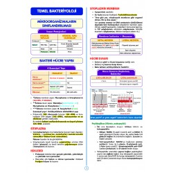 SPEETUS Kampı Mikrobiyoloji ( 3.Baskı )