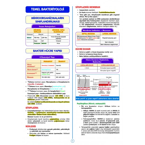 SPEETUS Kampı Mikrobiyoloji ( 3.Baskı )