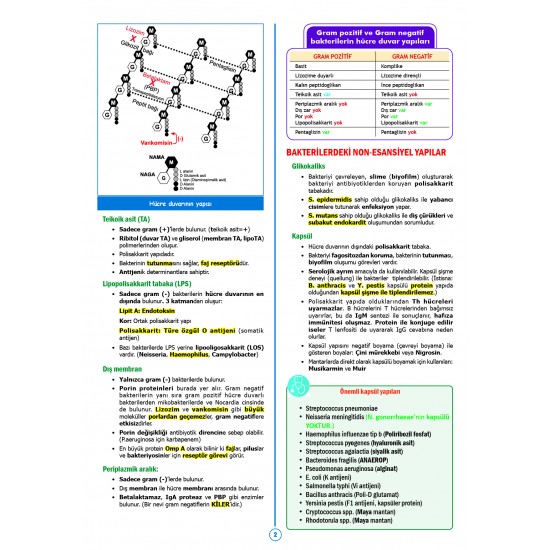 SPEETUS Kampı Mikrobiyoloji ( 3.Baskı )