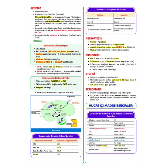 SPEETUS Kampı Patoloji ( 3.Baskı )