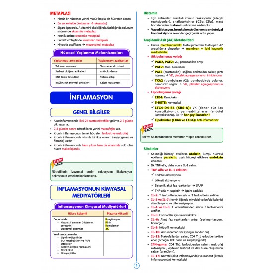 SPEETUS Kampı Patoloji ( 3.Baskı )