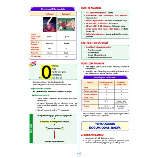 SPEETUS Kampı Pediatri ( 3.Baskı )