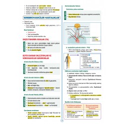 SPEETUS Kampı Küçük Stajlar ( 3.Baskı )