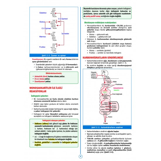 SPEETUS Kampı Biyokimya ( 4.Baskı ) SPEETUS Kampı Biyokimya ( 4.Baskı )
