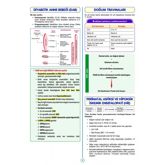 SPEETUS Kampı Pediatri ( 4.Baskı ) SPEETUS Kampı Pediatri ( 4.Baskı )