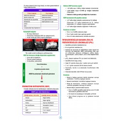 SPEETUS Kampı Pediatri ( 4.Baskı )