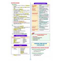 SPEETUS Kampı Küçük Stajlar ( 4.Baskı )