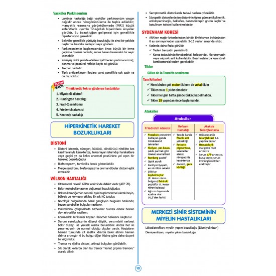 SPEETUS Kampı Küçük Stajlar ( 4.Baskı ) SPEETUS Kampı Küçük Stajlar ( 4.Baskı )