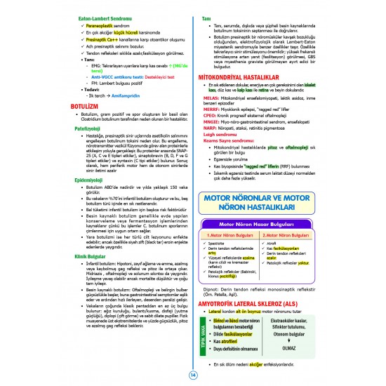 SPEETUS Kampı Küçük Stajlar ( 4.Baskı ) SPEETUS Kampı Küçük Stajlar ( 4.Baskı )