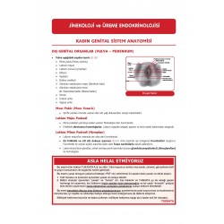 Data - Staj Kadın Doğum Konu ( 11.Baskı )