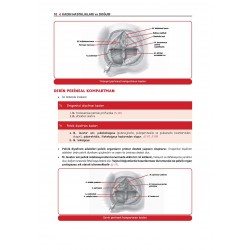 Data - Staj Kadın Doğum Konu ( 11.Baskı )