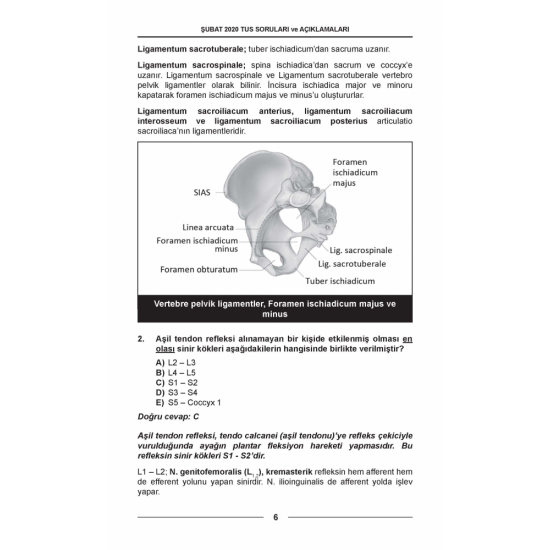 ŞUBAT 2020 ÖSYM'nin Orjinal TUS SORULARI