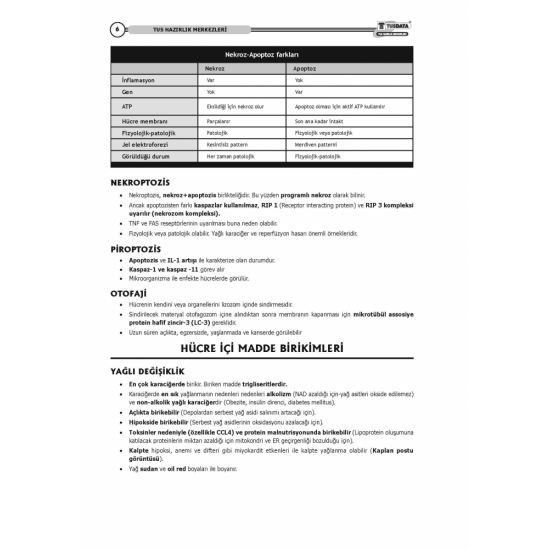 Tus Kampı Notu - Patoloji ( 12-1 ) Tus Kampı Notu - Patoloji ( 12-1 )