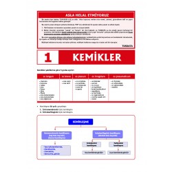 2024 - TUS Şampiyonların Notu - Anatomi / Erdinç