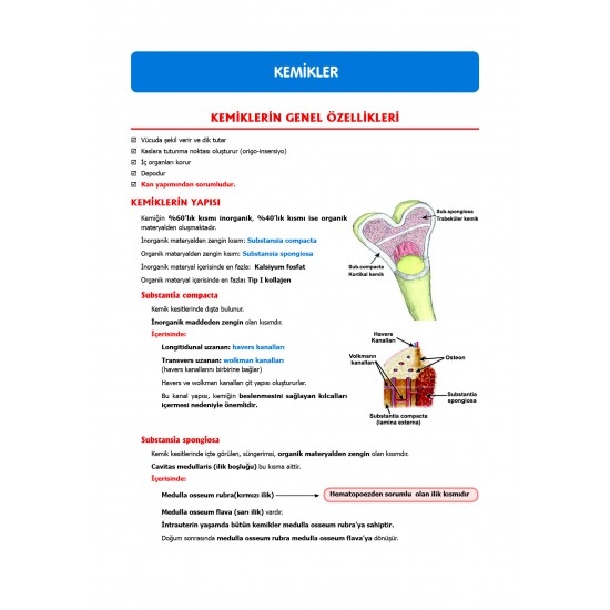 TUS Şampiyonların Notu ( 22.Baskı ) Anatomi / MUTLU ÖZBEK TUS Şampiyonların Notu ( 22.Baskı ) Anatomi / MUTLU ÖZBEK