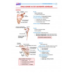 TUS Şampiyonların Notu ( 22.Baskı ) Anatomi / MUTLU ÖZBEK