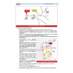 TUS Şampiyonların Notu ( 22.Baskı ) Biyokimya