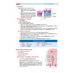 TUS Şampiyonların Notu ( 22.Baskı ) Fizyoloji