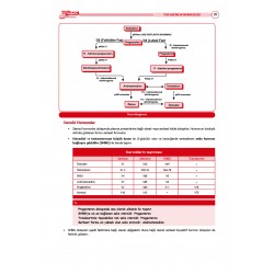 TUS Şampiyonların Notu ( 22.Baskı ) Kadın Doğum