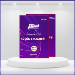 TUS Şampiyonların Notu ( 22.Baskı ) Küçük Stajlar