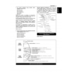 Tüm DUS Soruları ( 7.Baskı ) Temel / 1.Cilt