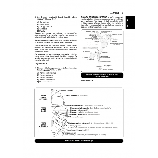 Tüm DUS Soruları ( 7.Baskı ) Temel / 1.Cilt Tüm DUS Soruları ( 7.Baskı ) Temel / 1.Cilt