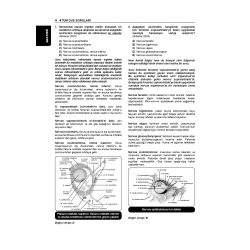 Tüm DUS Soruları ( 7.Baskı ) Temel / 1.Cilt