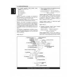 Tüm DUS Soruları ( 5.Baskı ) Temel / 1.Cilt