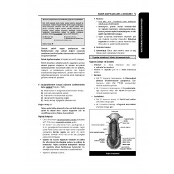 Tüm Tus Soruları ( 32.Baskı ) Kadın Doğum