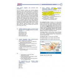 Vaka Soruları ANATOMİ ( 2.Baskı )