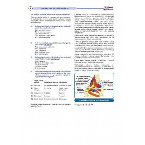 Vaka Soruları ANATOMİ ( 1.Baskı ) Vaka Soruları ANATOMİ ( 1.Baskı )