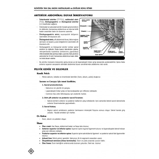 YDUS Konu Kitabı ( 5.Baskı ) K.Doğum / 1.2 Cilt