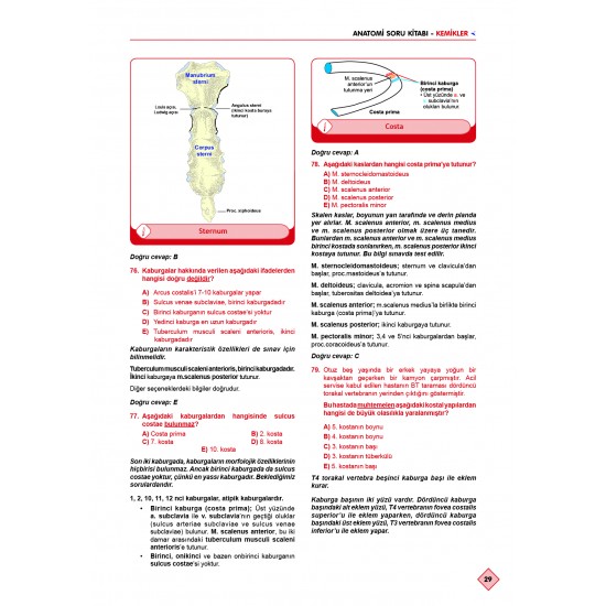 Klinisyen Prime Soruları Anatomi ( 20.Baskı )
