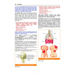 Prospektus TTS ( 12.Baskı ) Anatomi