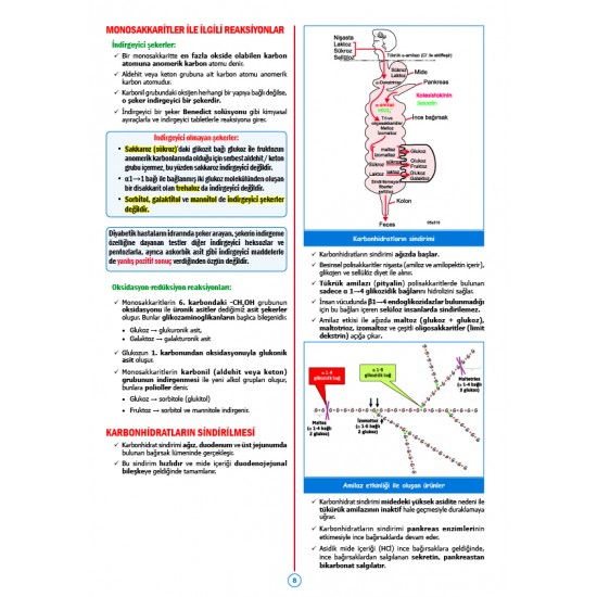 Rapidus Kampı ( 5.Baskı ) Biyokimya