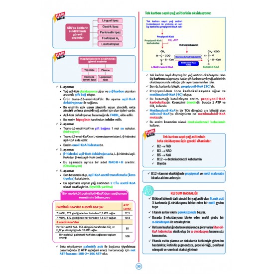 Rapidus Kampı ( 5.Baskı ) Biyokimya