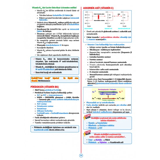 Rapidus Kampı ( 5.Baskı ) Biyokimya