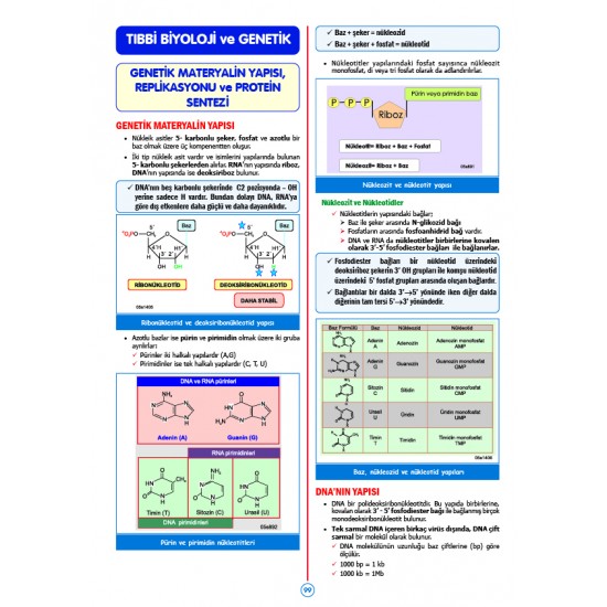 Rapidus Kampı ( 5.Baskı ) Biyokimya