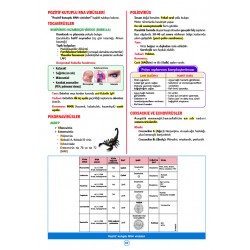 Rapidus Kampı ( 5.Baskı ) Mikrobiyoloji