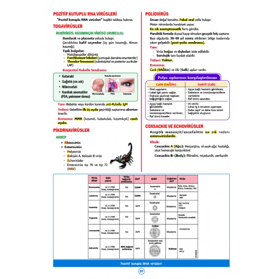 Rapidus Kampı ( 5.Baskı ) Mikrobiyoloji