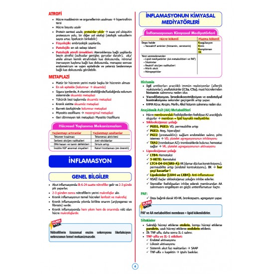 Rapidus Kampı ( 5.Baskı ) Patoloji