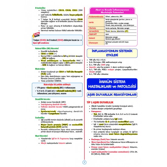 Rapidus Kampı ( 5.Baskı ) Patoloji