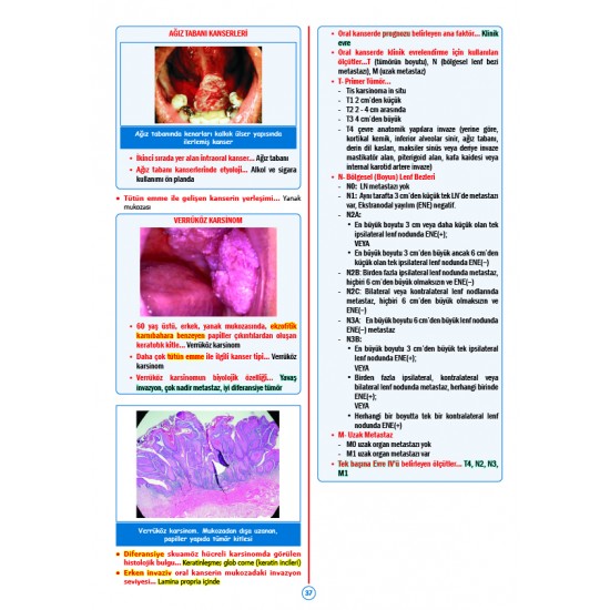 Rapidus Kampı ( 5.Baskı ) Patoloji