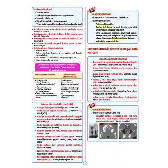 Rapidus Kampı ( 5.Baskı ) Patoloji