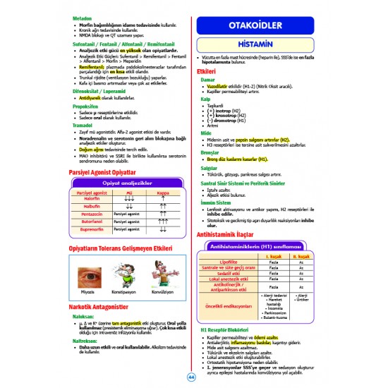 Rapidus Kampı ( 5.Baskı ) Farmakoloji