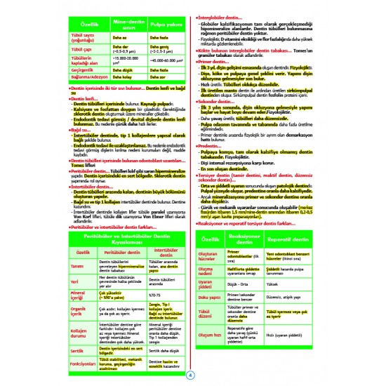 Rapidus Kampı ( 5.Baskı ) Restoratif Diş