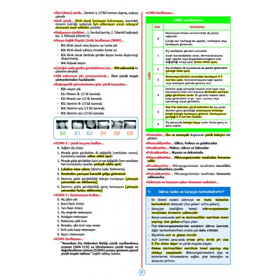 Rapidus Kampı ( 5.Baskı ) Restoratif Diş